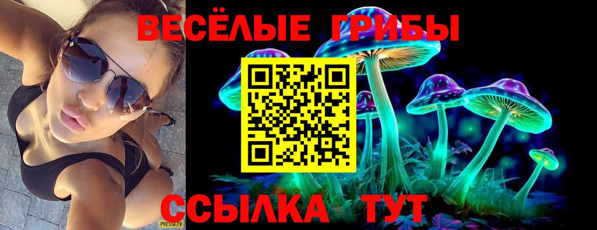 Галлюциногенные грибы GOLDEN TEACHER Омск