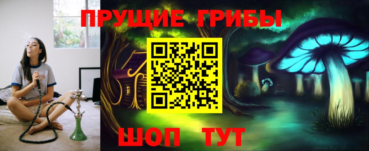 Омск  Псилоцибиновые грибы GOLDEN TEACHER  Вход с VPN 